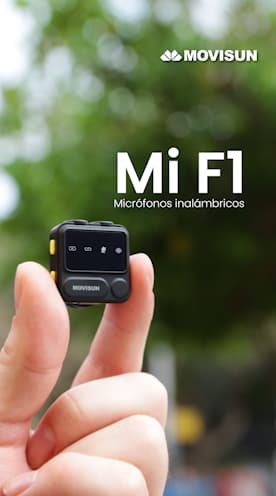 Demostrativo Mi F1