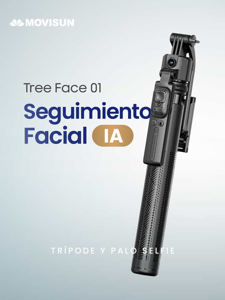 Presentación Tree Face 01